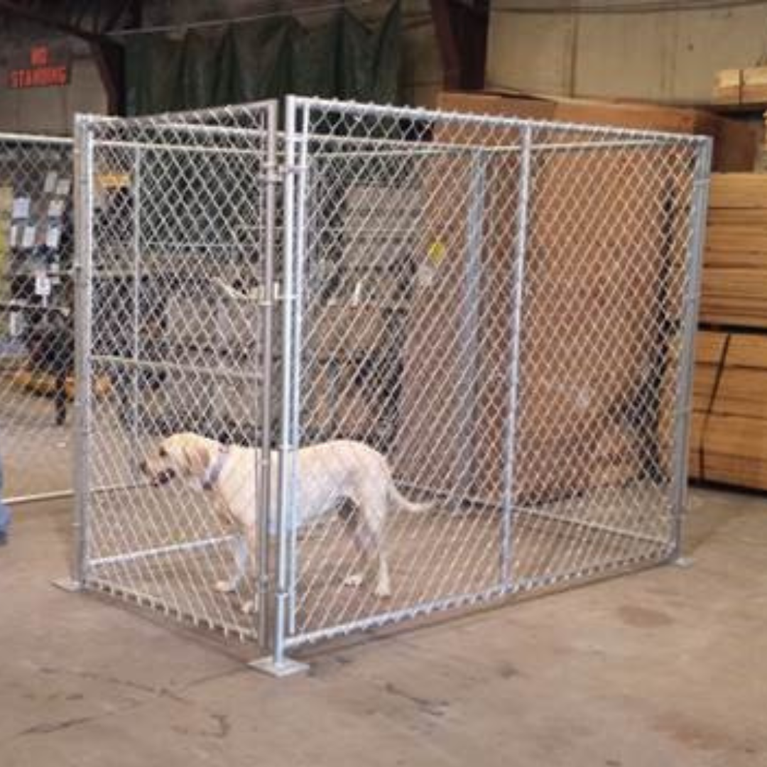 Chain link fence dog pen online